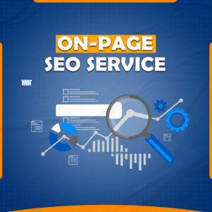 We Will Complete On-Page SEO Optimization Service For Google Ranking