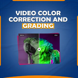 We Will Do Professional Video Color Correction and Grading