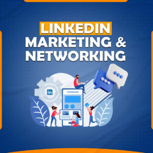 We Will Do LinkedIn Marketing and Networking for You